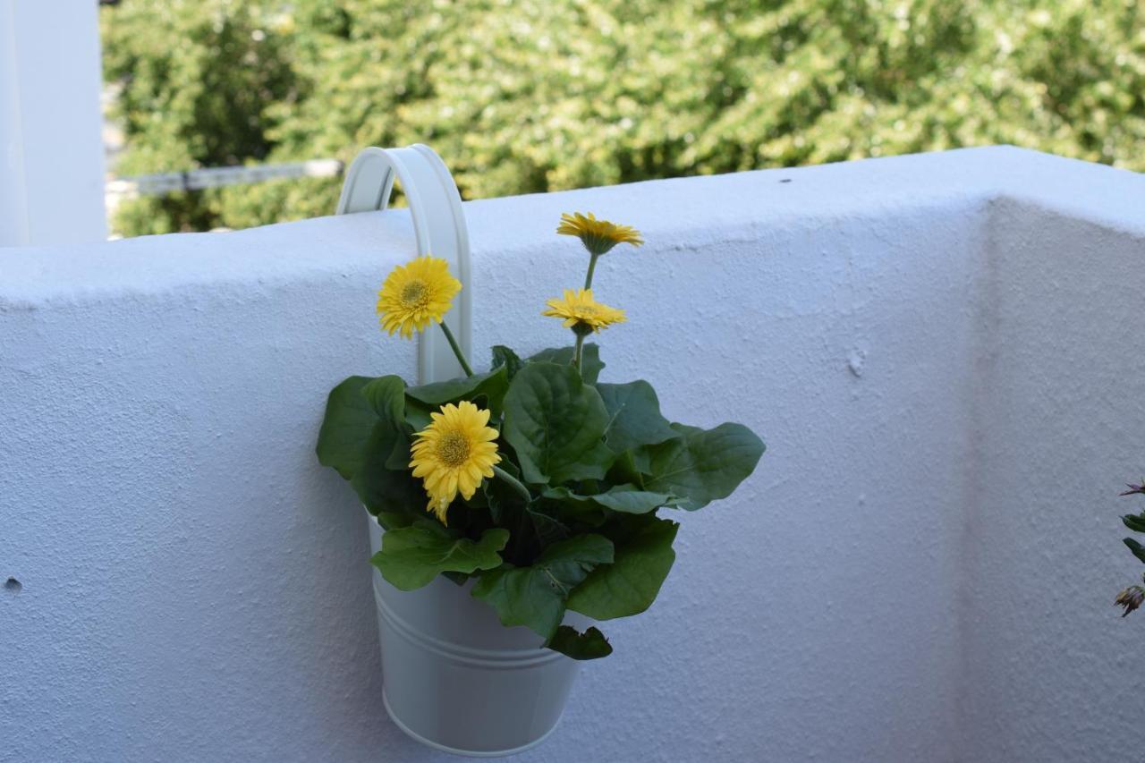 Peneco Apartamento Albufeira
